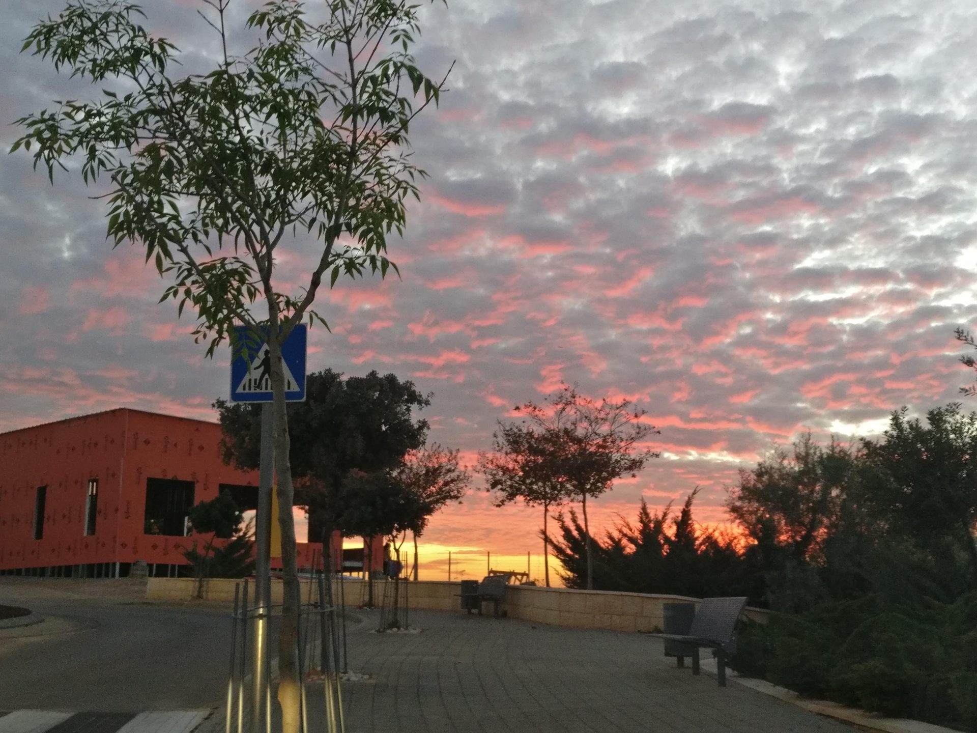 ילדים רצים ברחוב היישוב
